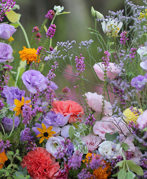 Décoration de vitrine magasin, fleurs pour enterrement, scénographie pour marque